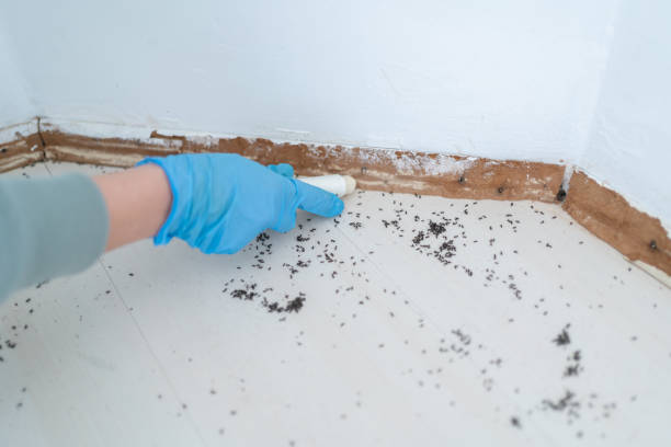 Best Pest Exclusion Services  in Hurley, NM